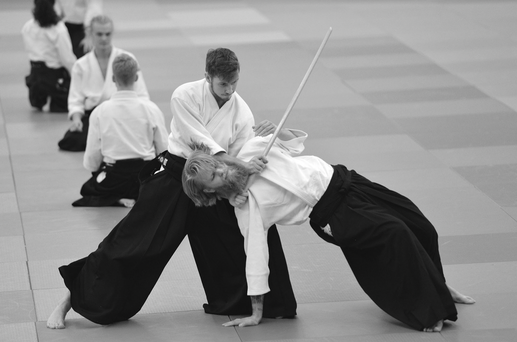 AIKIDO Kalmar, Bilden är tagen från svenska aikidoförbundets hemsida.